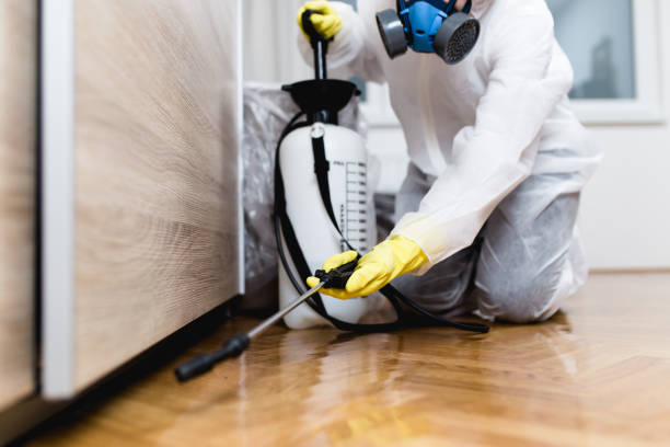 Reliable Vista Santa Rosa, CA Pest Control Solutions